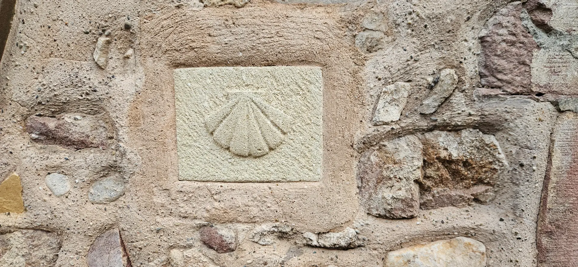 Carved scallop shell, symbol of the Compostela path